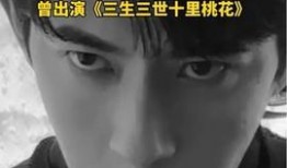 日本男明星被爆料视频,真相与争议