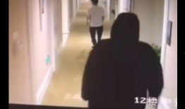 女子爆料酒店视频大全集,揭秘背后真相与争议