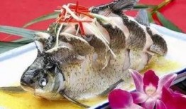 爆料鱼神鱼免费视频观看,独家爆料带你畅游视听盛宴